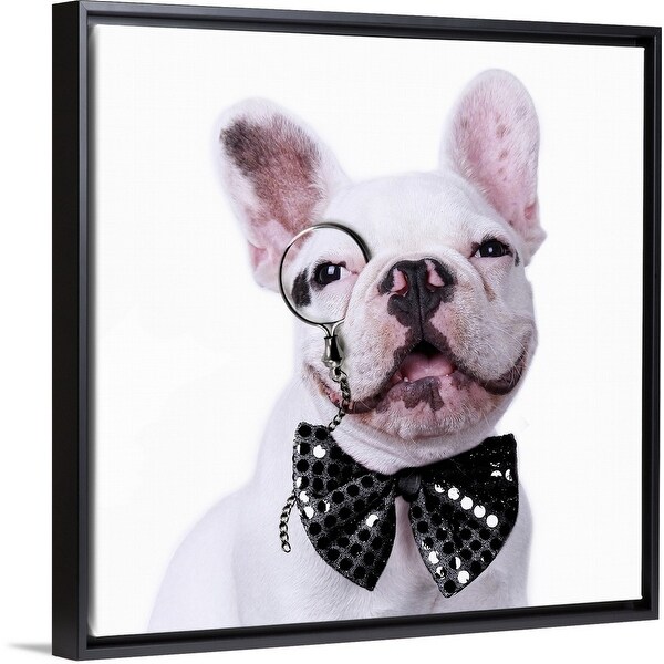 "French Bulldog with a monocle and tie" Black Float Frame